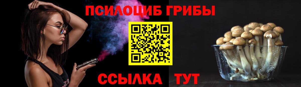 Галлюциногенные грибы мицелий Кизляр